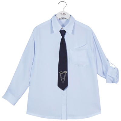 Блузка школьная Deloras 63836C голубой 01